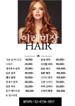 이레미장