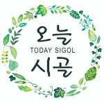 정선두바퀴마을여행플렛폼