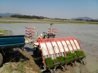 오색향미영농조합법인