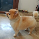 랄라몽