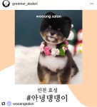 안녕댕댕이