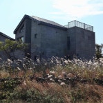 유일안