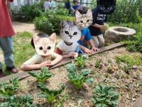 자연과학어린이집