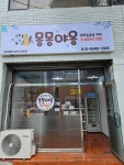 몽몽야옹