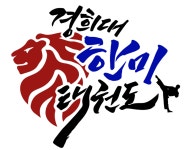 경희대한미태권도
