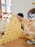 자연과학어린이집