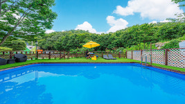 멍스타애견펜션