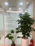 연세조이정신건강의학과의원