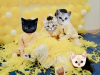 자연과학어린이집