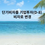 에스엠비행정사사무소