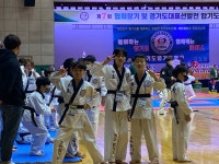 와우정무합기도