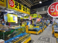 소래콧털삼촌수산