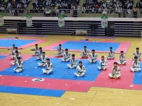 사하힘찬태권도