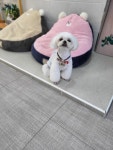 덕구살롱