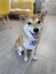 덕구살롱