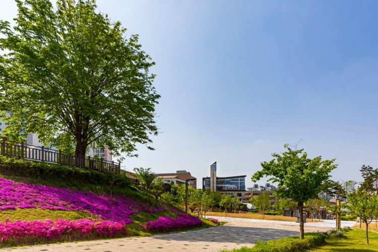 성산교회 사진 5