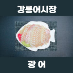 강릉오징어 어시장