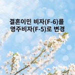 에스엠비행정사사무소