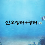 강릉오징어 어시장