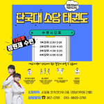 단국대소담태권도