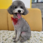 덕구살롱