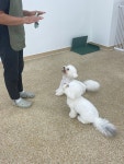 싱글몽글