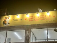묘냥묘냥