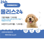 올리스24 부산남구점