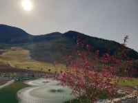밀양노벨CC