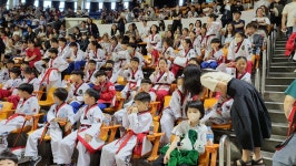 경희대빅토리태권도장