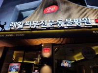 레알피부전문동물병원