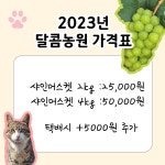달콤농원