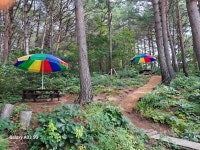 찻골