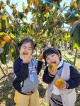 사랑나무유치원