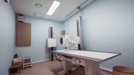 서울본정형외과의원