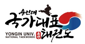 용인대국가대표태권도장