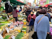 늘푸른야채