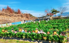 궁전키즈스쿨어린이집