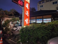 정통대유성