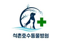 석촌호수동물병원