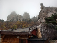 대전장거리콜택시