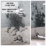 다고쳐