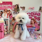 코코넨네펫미용샵