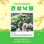 견상낙원