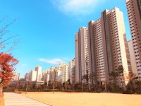 송파로얄공인중개사사무소