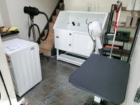 뽀송뽀송 애견미용호텔 / 놀이방