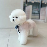 코코넨네펫미용샵