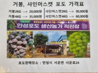 용현농장