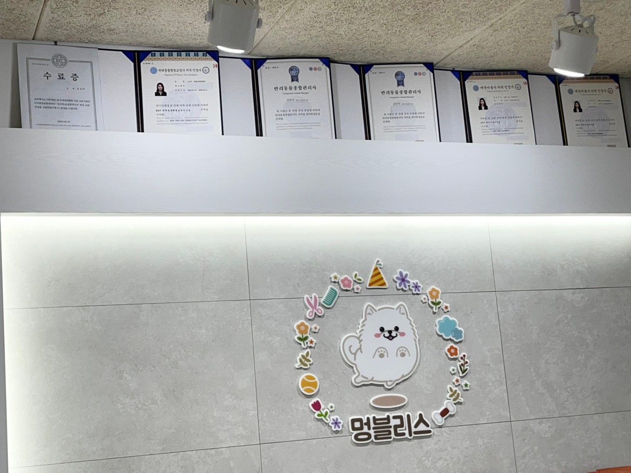 멍블리스 애견유치원 호텔 미용