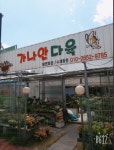 가나안다육